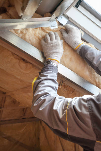 Best Insulation Installation Services in Montour Falls, NY