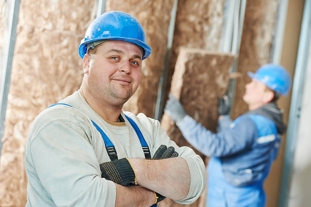Best Insulation Maintenance and Repair in Montour Falls, NY